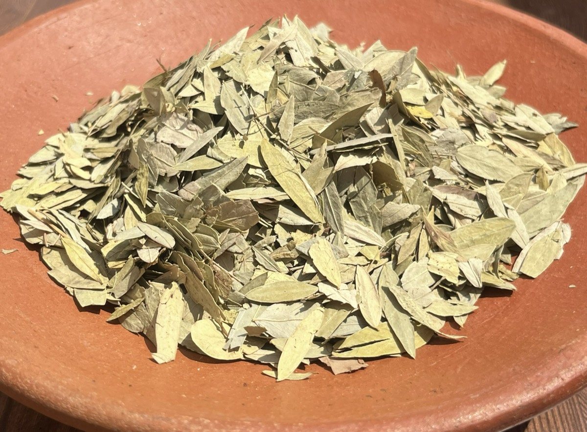 Dried senna leaves