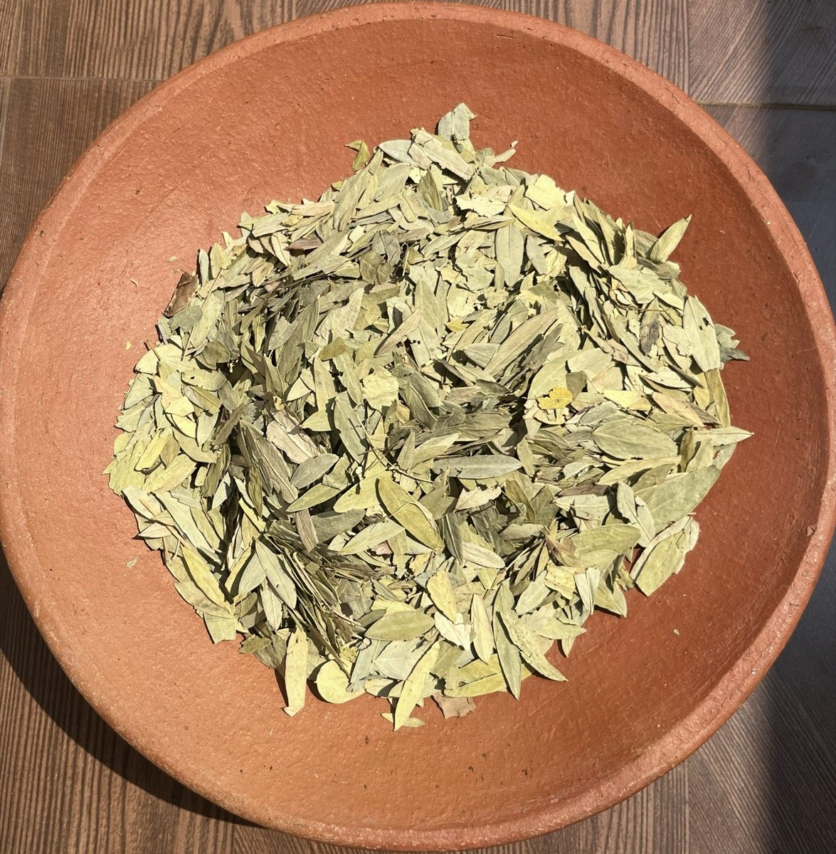 Dried senna leaves from Rural Exim